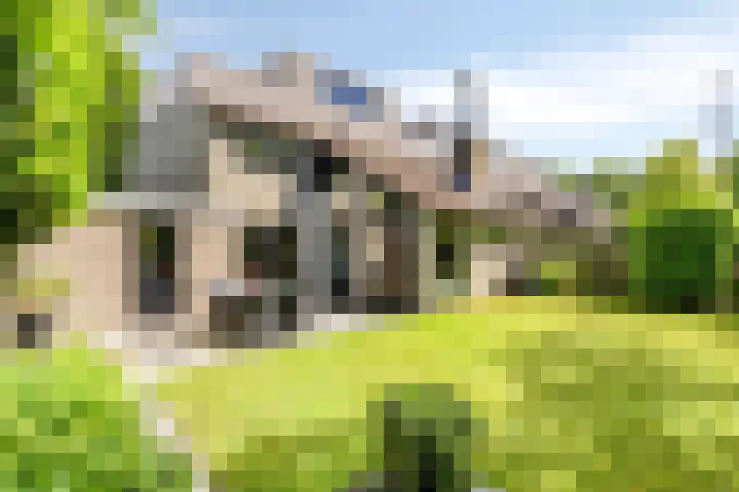 Wijnkoper 24 Oss thumbnail 34