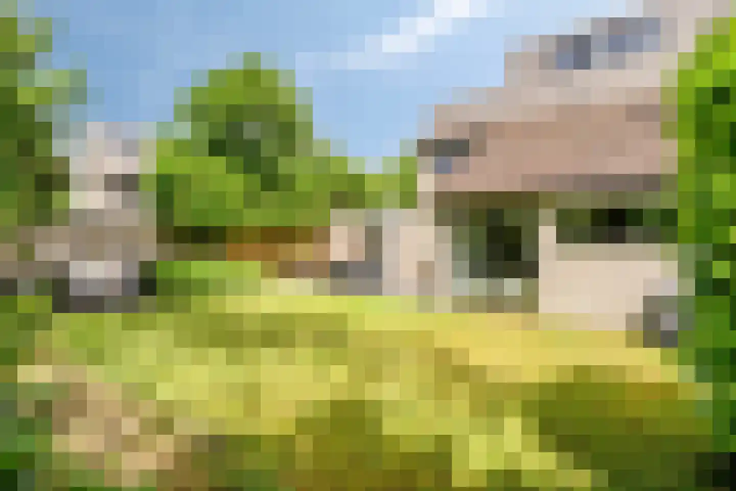 Wijnkoper 24 Oss thumbnail 35