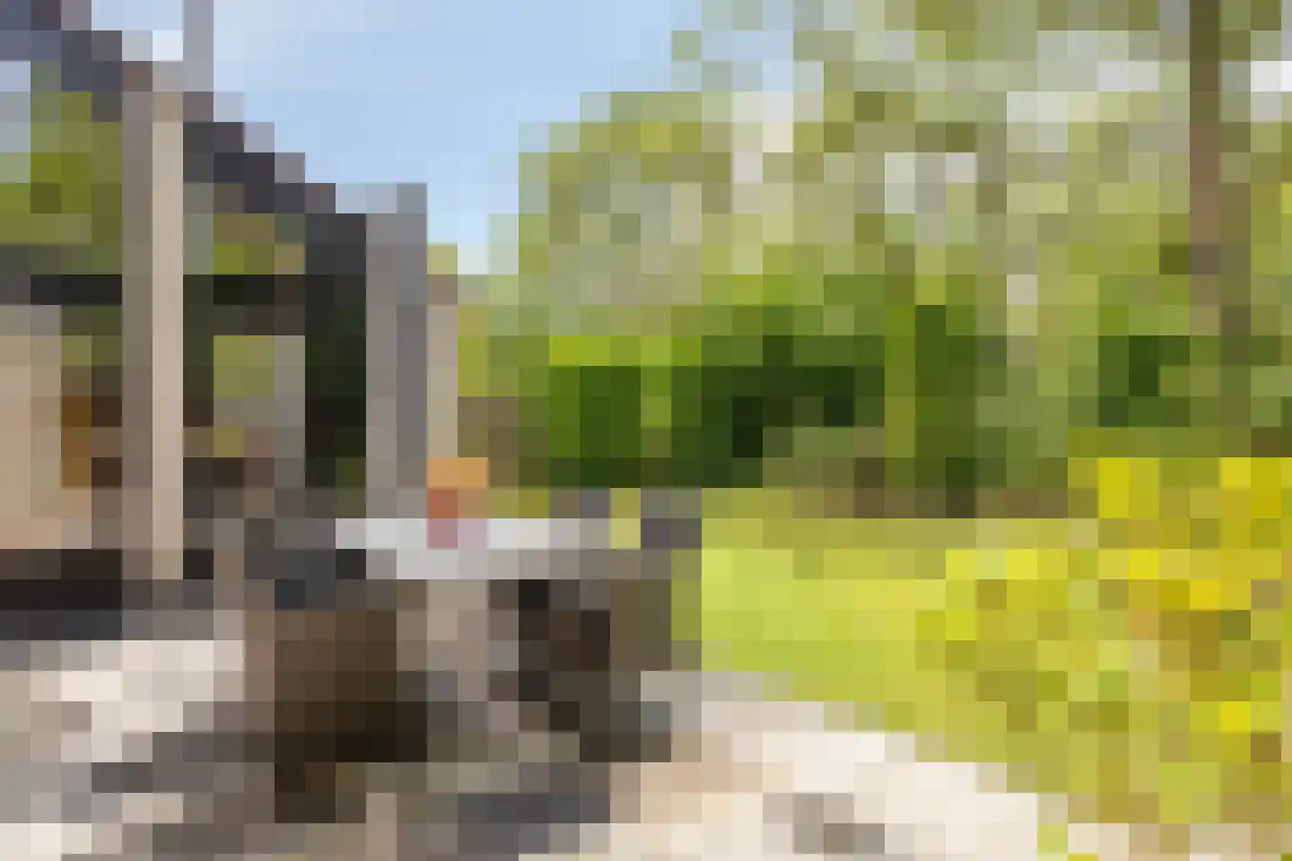 Wijnkoper 24 Oss thumbnail 37