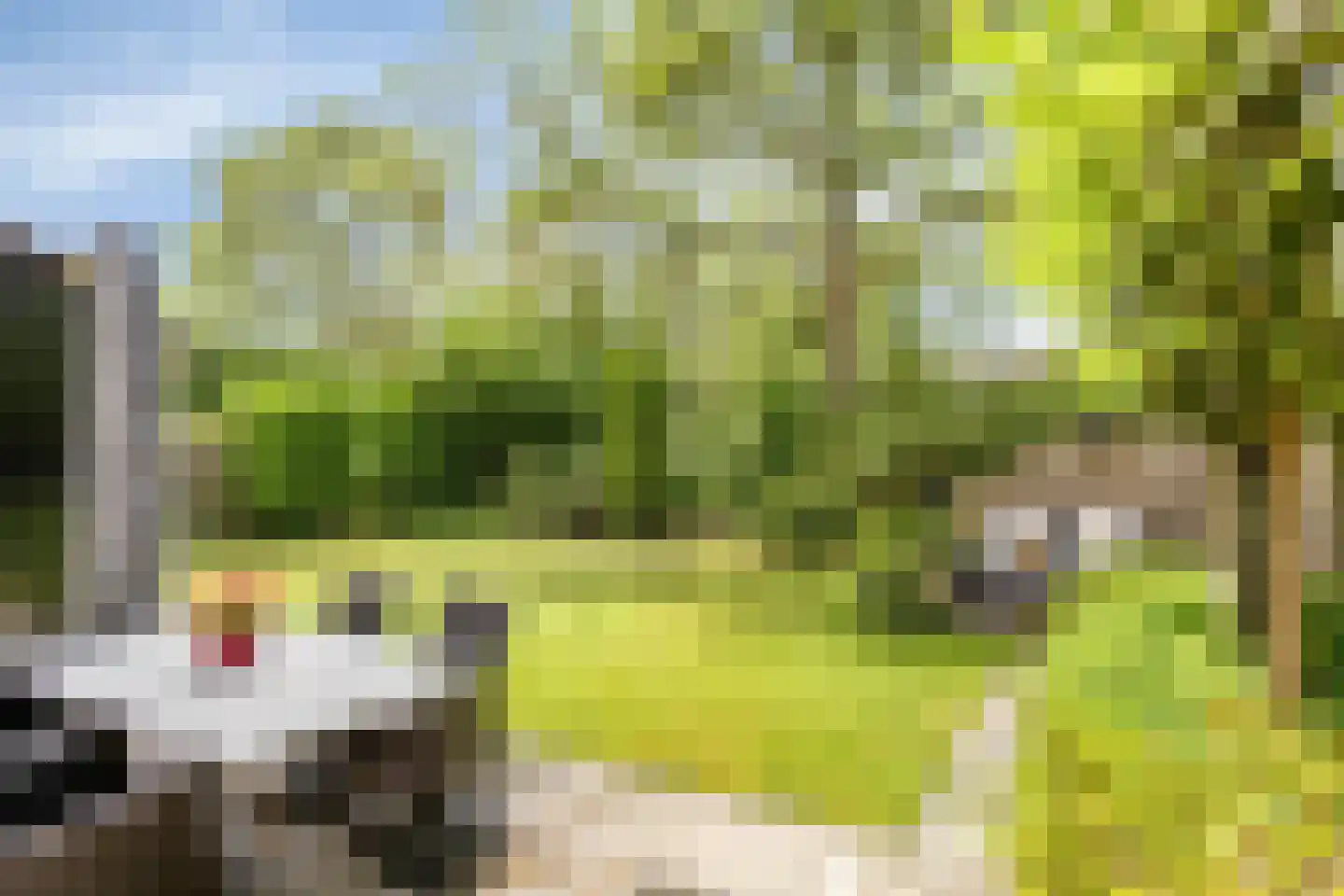 Wijnkoper 24 Oss thumbnail 38