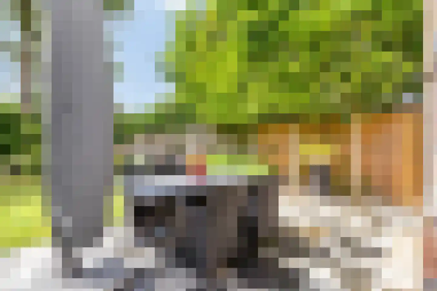 Wijnkoper 24 Oss thumbnail 40