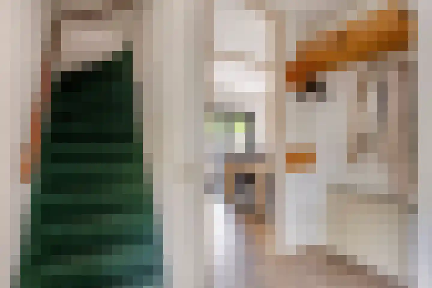 Wijnkoper 24 Oss thumbnail 7