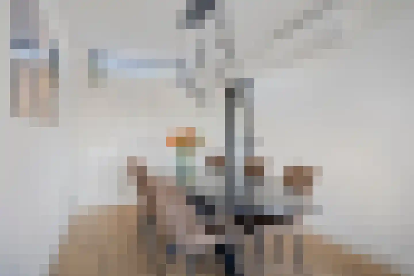 Wijnkoper 6 Oss thumbnail 10