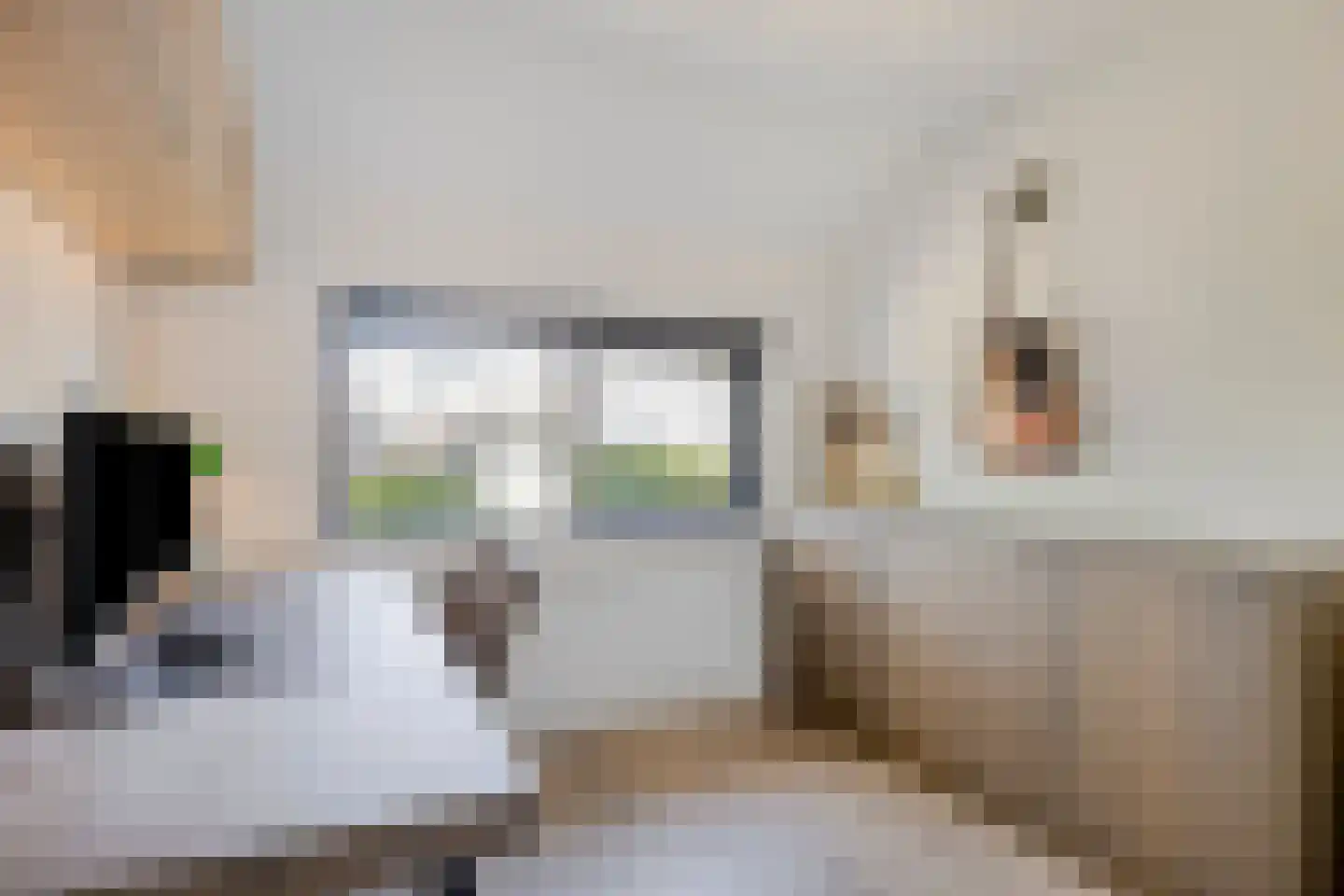 Wijnkoper 6 Oss thumbnail 20