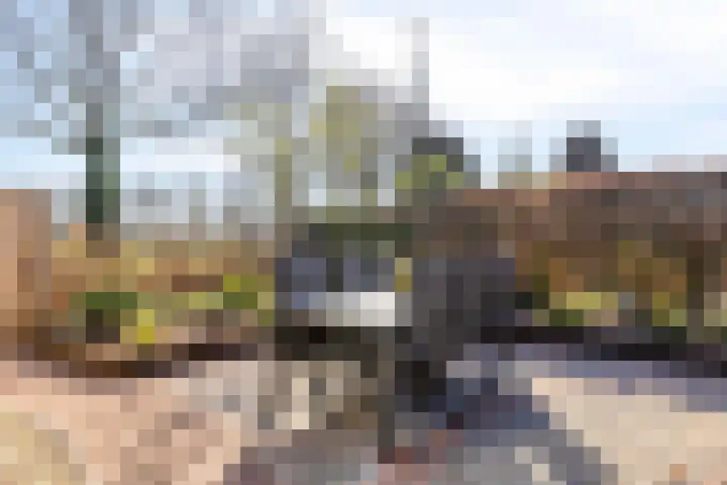 Wijnkoper 6 Oss thumbnail 27
