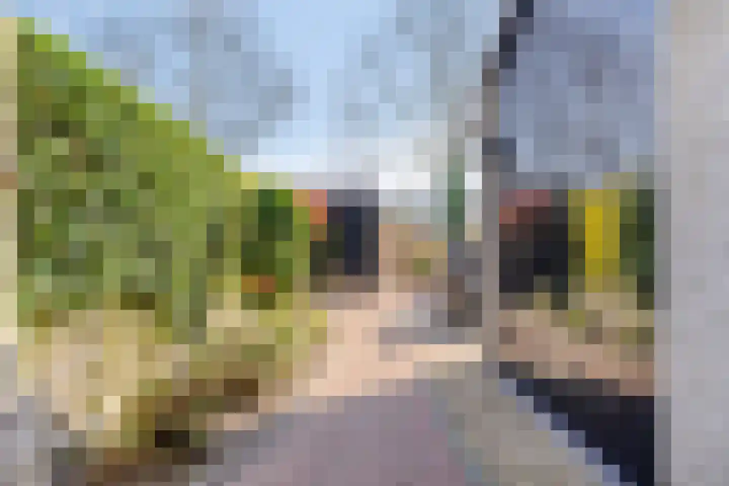 Wijnkoper 6 Oss thumbnail 28