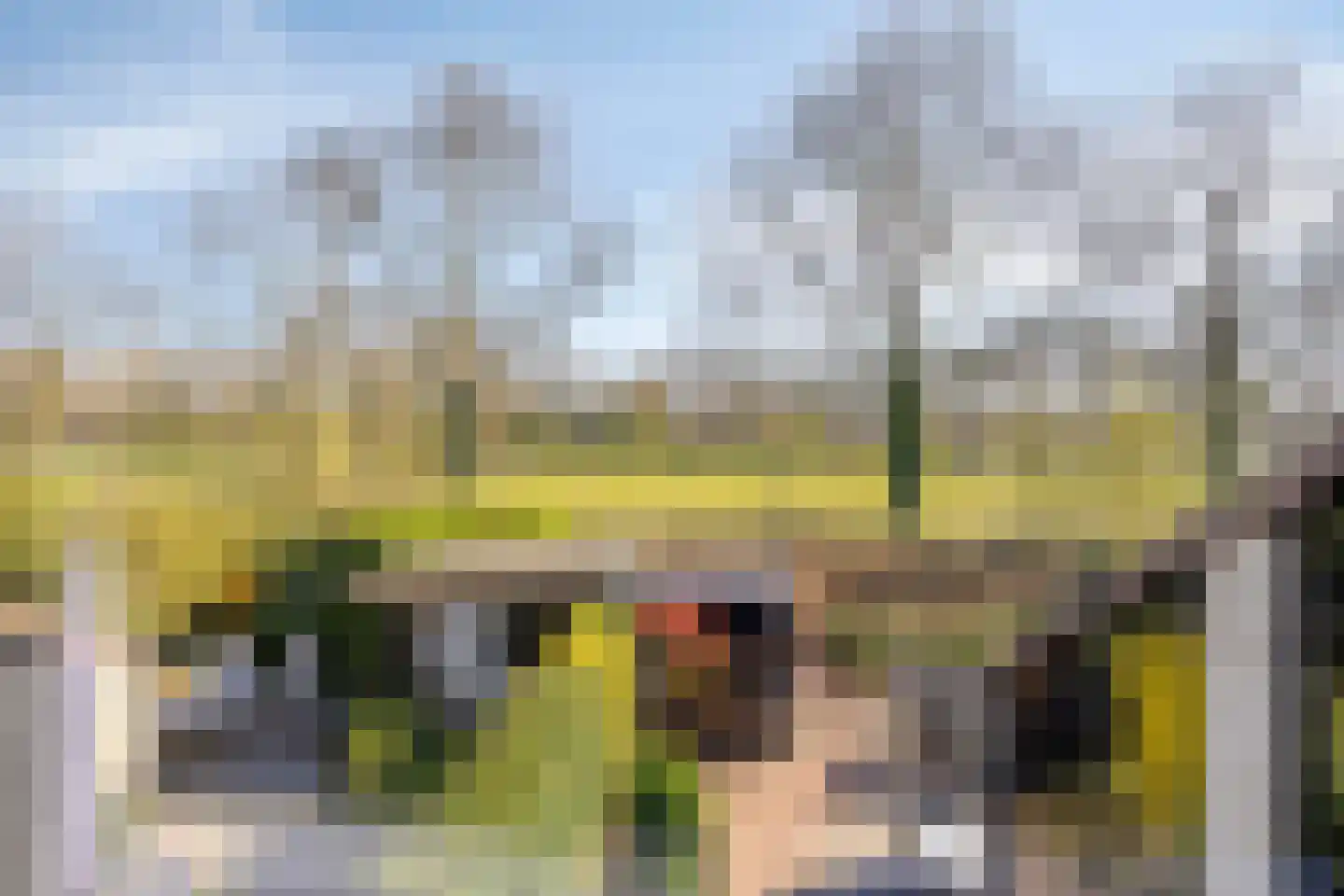 Wijnkoper 6 Oss thumbnail 5