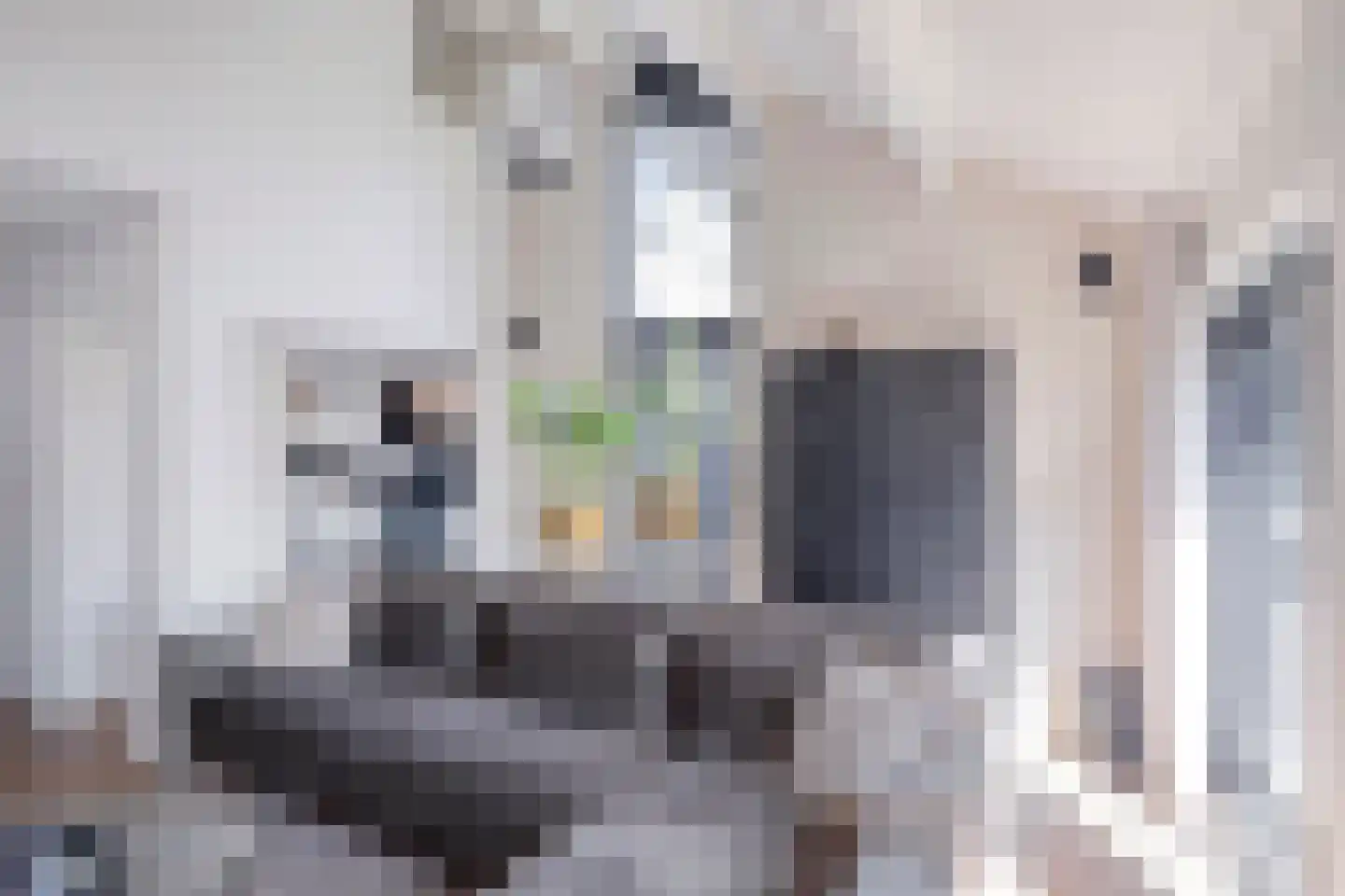 Wijnkoper 6 Oss thumbnail 6