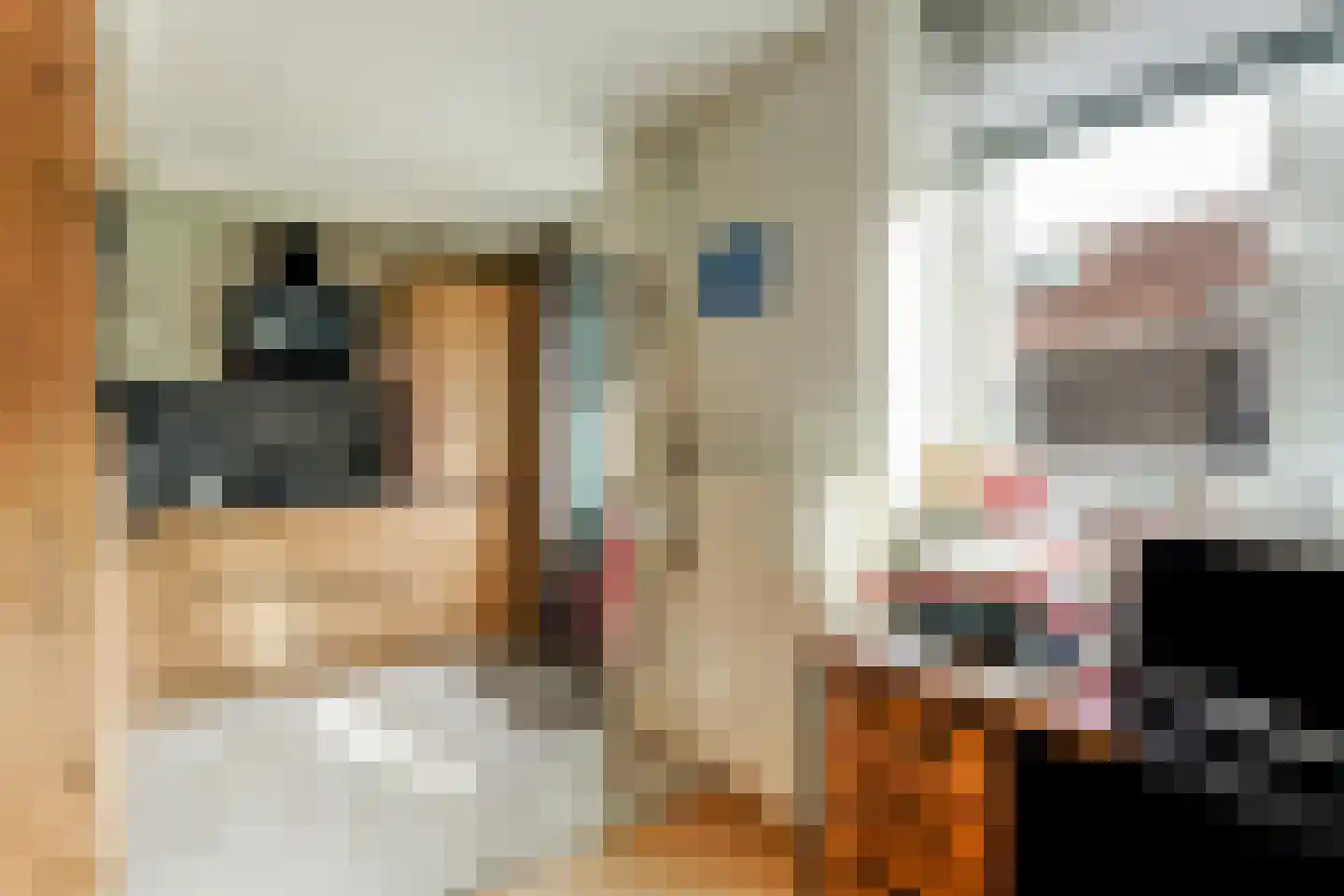 Wijnkopersgilde 3 Medemblik thumbnail 12