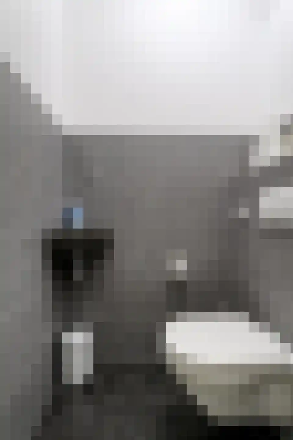 Wijnkopersgilde 3 Medemblik thumbnail 17