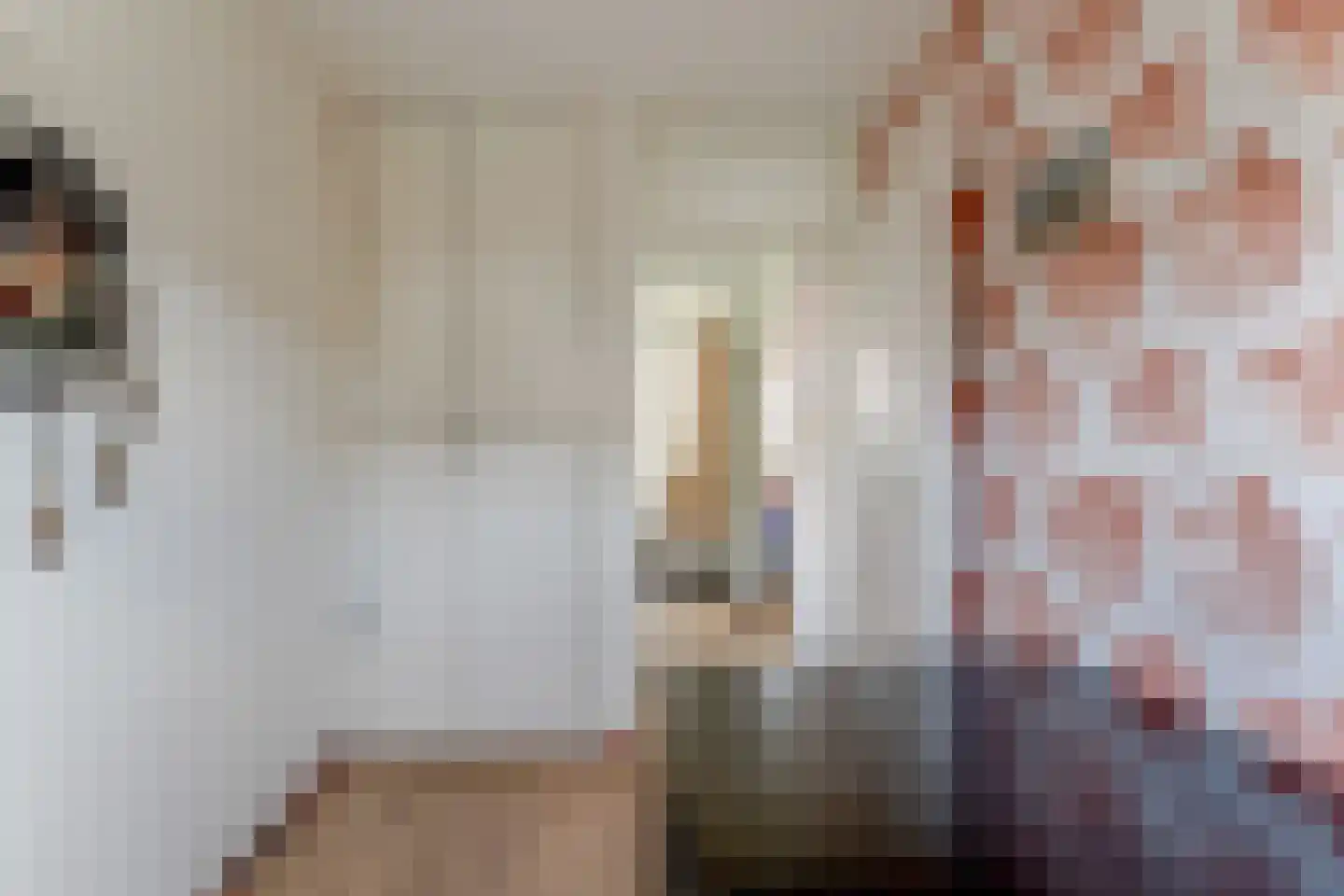 Wijnkopersgilde 3 Medemblik thumbnail 24