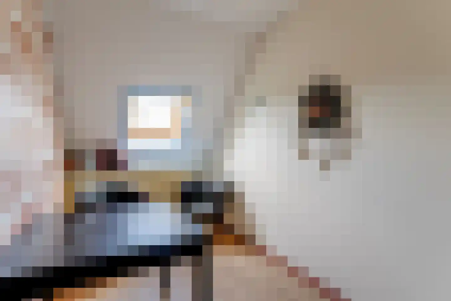 Wijnkopersgilde 3 Medemblik thumbnail 25