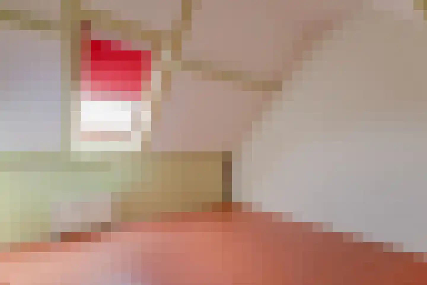 Wijnkopersgilde 3 Medemblik thumbnail 33