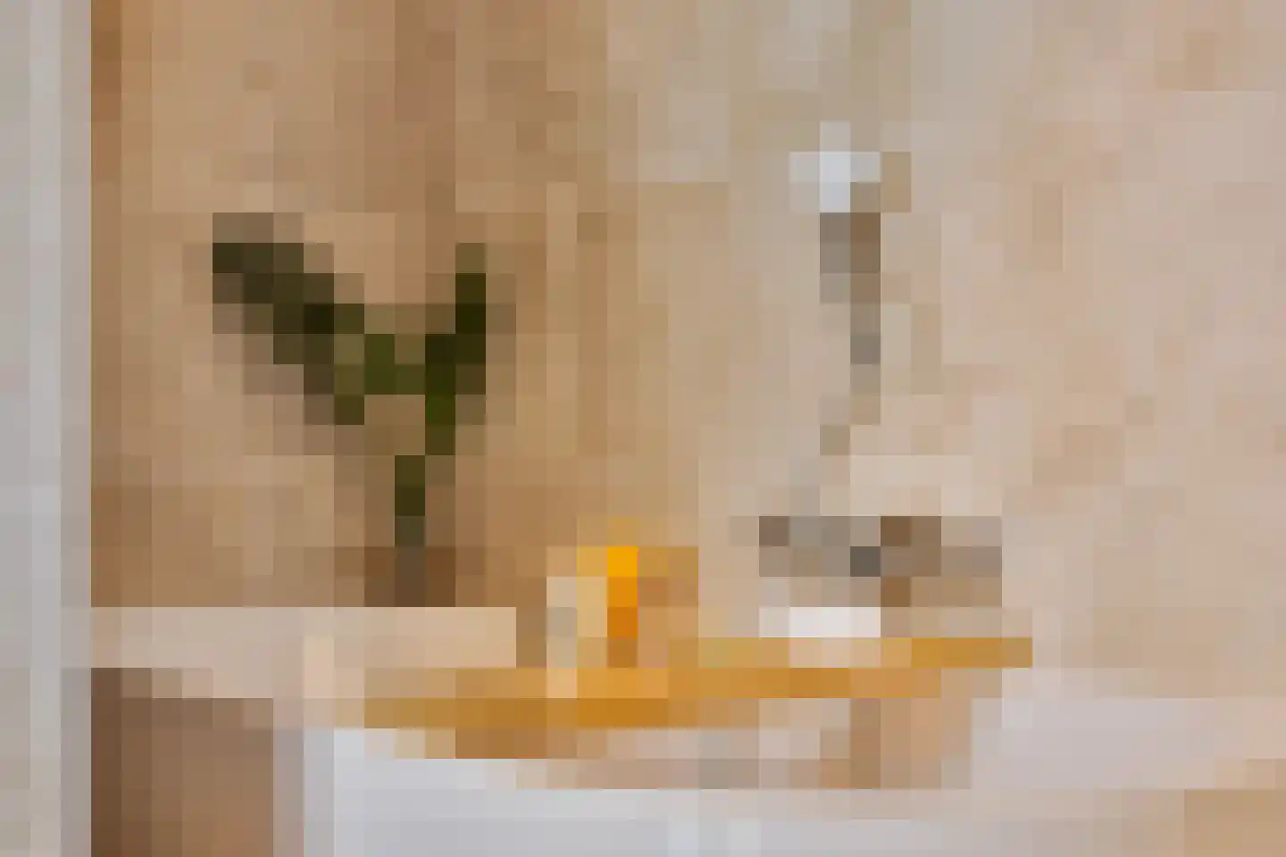 Wijnkopersgilde 6 Dronten thumbnail 23