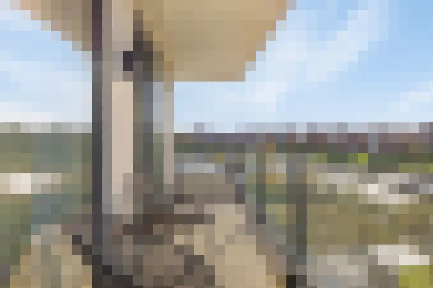 Wijnkopersgilde 6 Dronten thumbnail 35