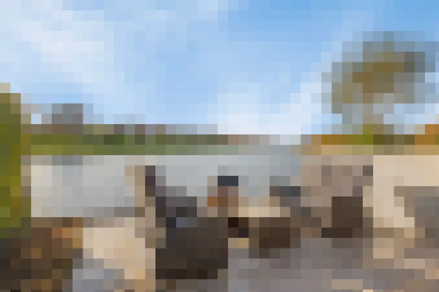 Wijnkopersgilde 6 Dronten thumbnail 46