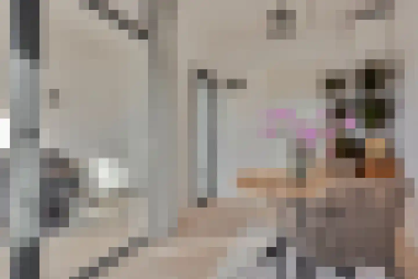 Wijnkopersgilde 6 Dronten thumbnail 54