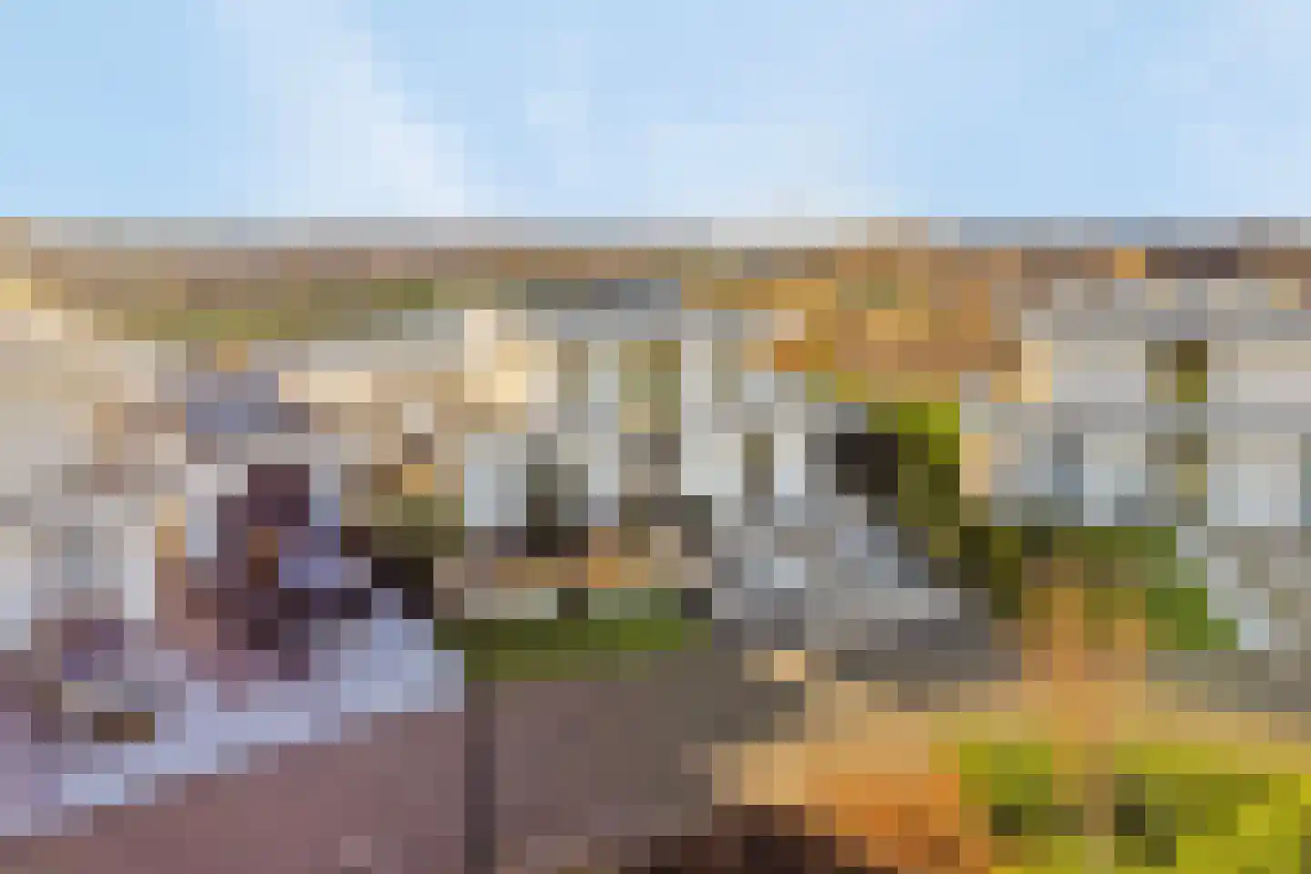 Wijnkopersgilde 6 Dronten thumbnail 58