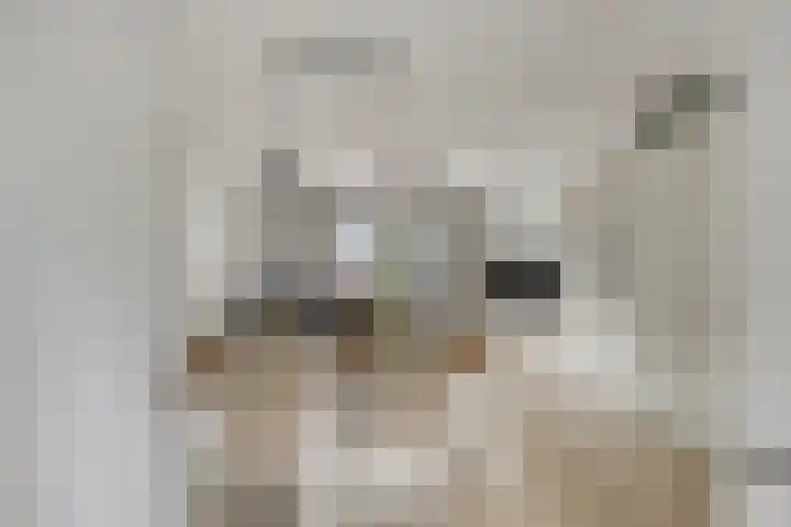 Wijnmalenlaan 7 Soesterberg thumbnail 11