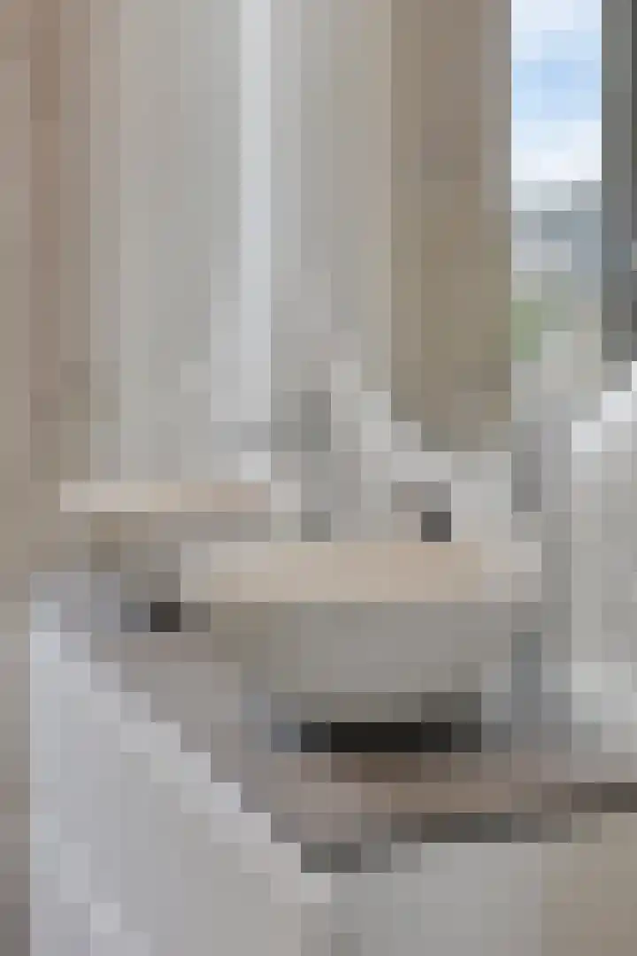 Wijnmalenlaan 7 Soesterberg thumbnail 25