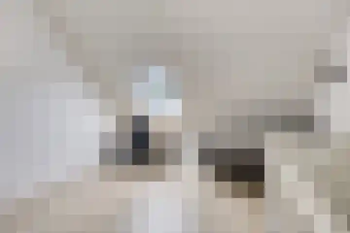 Wijnmalenlaan 7 Soesterberg thumbnail 26