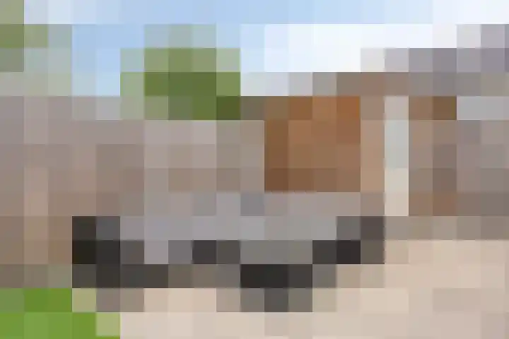 Wijnmalenlaan 7 Soesterberg thumbnail 32