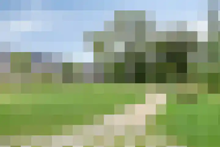 Wijnmalenlaan 7 Soesterberg thumbnail 34
