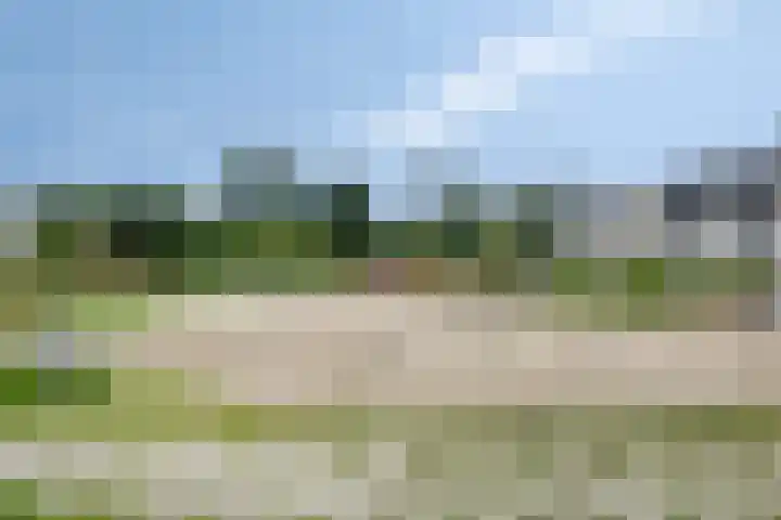 Wijnmalenlaan 7 Soesterberg thumbnail 35