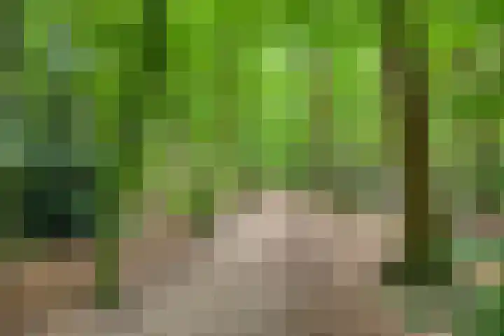 Wijnmalenlaan 7 Soesterberg thumbnail 36