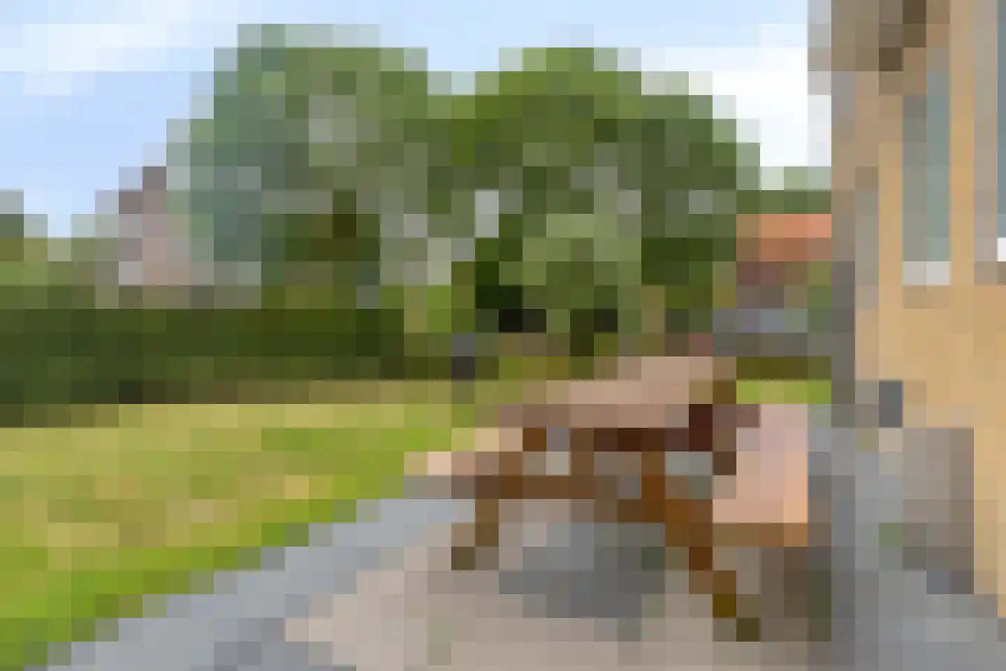 Wijnmalenstraat 5 Badhoevedorp thumbnail 23