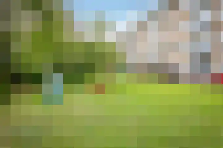 Wijnmalenstraat 51 Badhoevedorp thumbnail 31