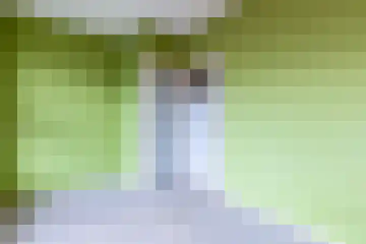 Wijnmalenstraat 73 Badhoevedorp thumbnail 15
