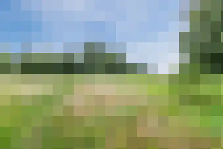 Wijnmalenstraat 73 Badhoevedorp thumbnail 20