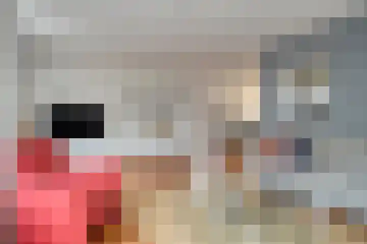 Wijnmanlaan 18 Zwolle thumbnail 10