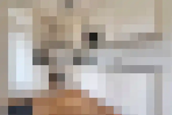 Wijnmanlaan 18 Zwolle thumbnail 14