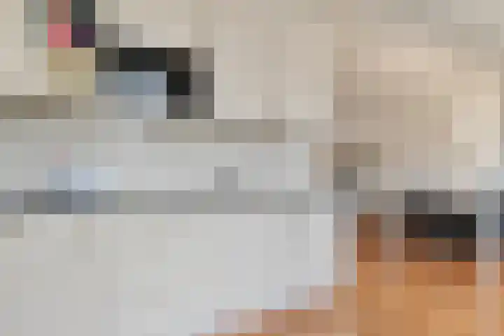 Wijnmanlaan 18 Zwolle thumbnail 15