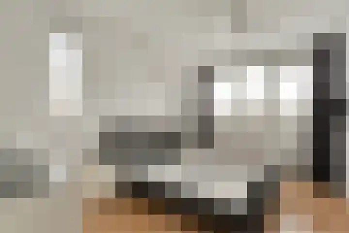 Wijnmanlaan 18 Zwolle thumbnail 19