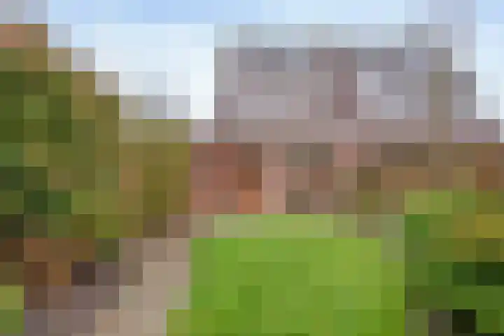 Wijnmanlaan 18 Zwolle thumbnail 30