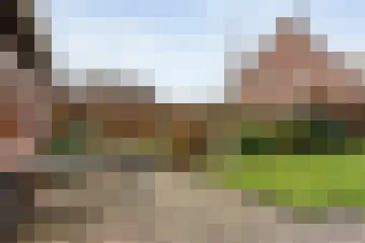 Wijnmanlaan 18 Zwolle thumbnail 32