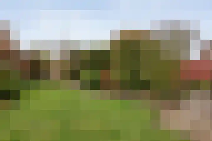 Wijnmanlaan 18 Zwolle thumbnail 33
