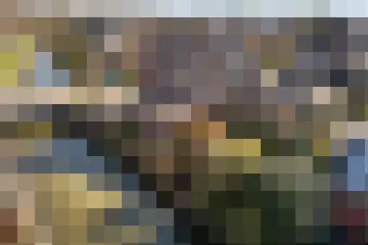 Wijnmanlaan 18 Zwolle thumbnail 35