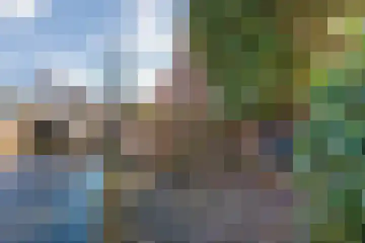 Wijnmanlaan 18 Zwolle thumbnail 36