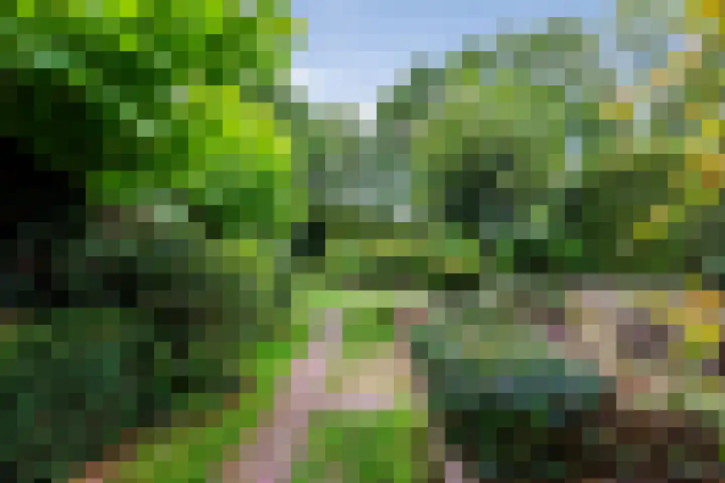 Wijnoldy Daniëlslaan 11 Santpoort-Zuid thumbnail 16