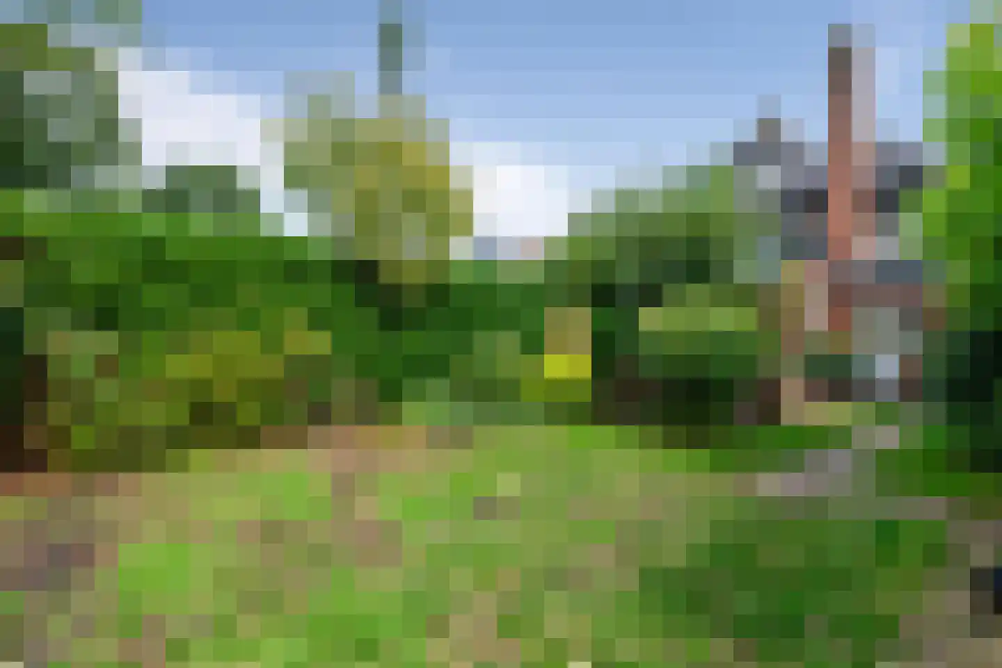 Wijnoldy Daniëlslaan 11 Santpoort-Zuid thumbnail 20