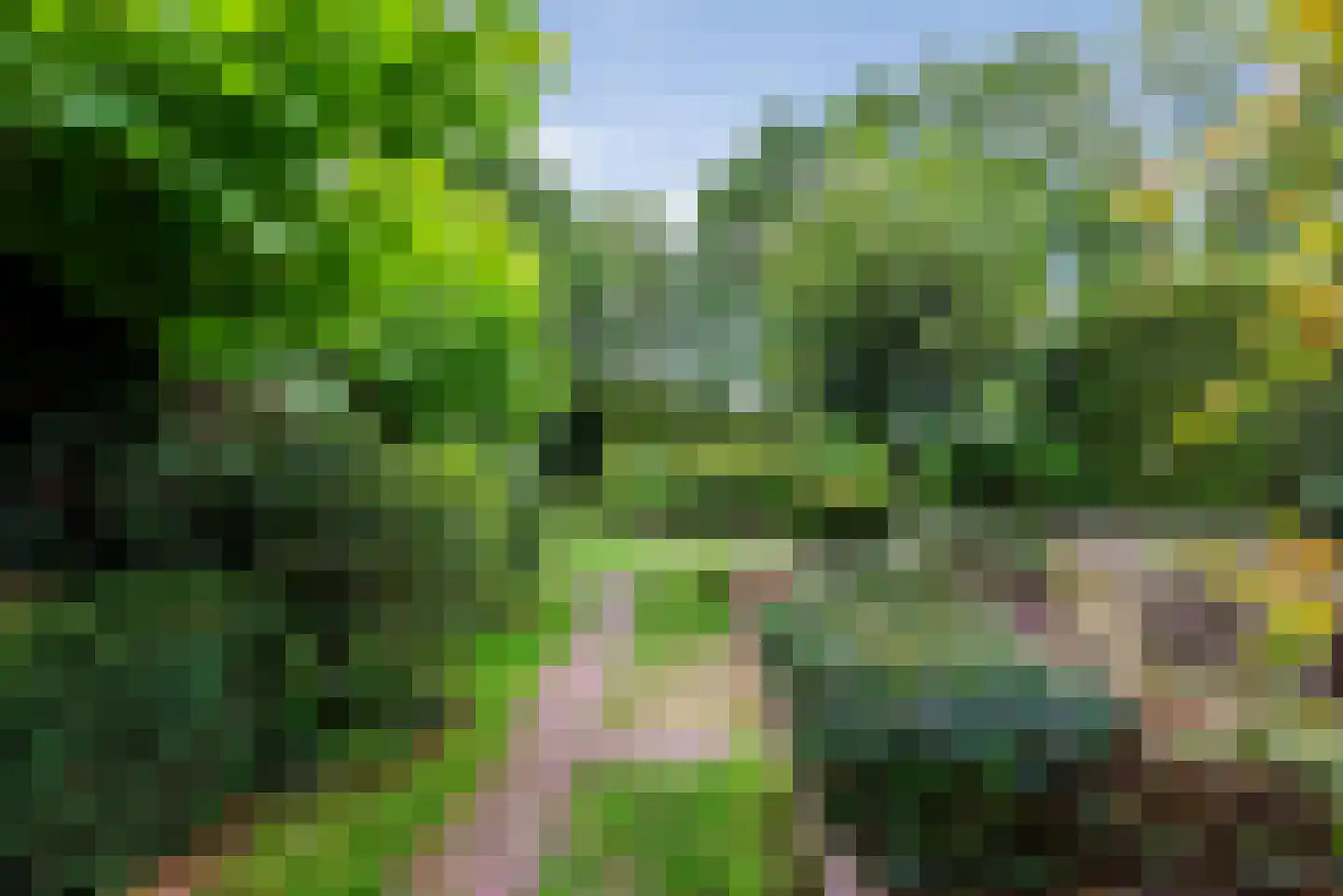 Wijnoldy Daniëlslaan 11 Santpoort-Zuid thumbnail 4