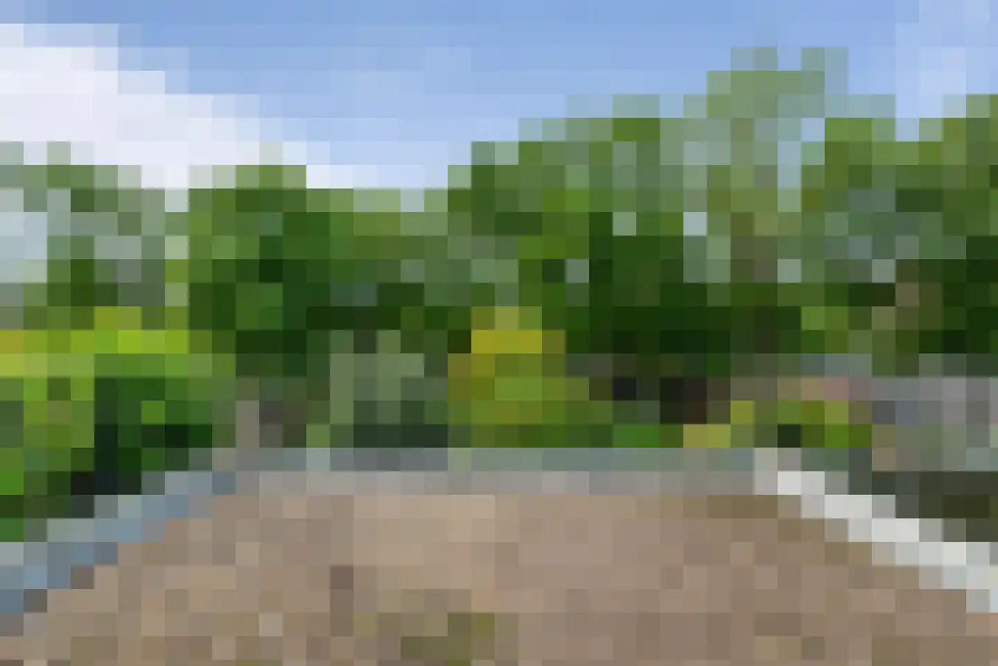 Wijnoldy Daniëlslaan 11 Santpoort-Zuid thumbnail 40