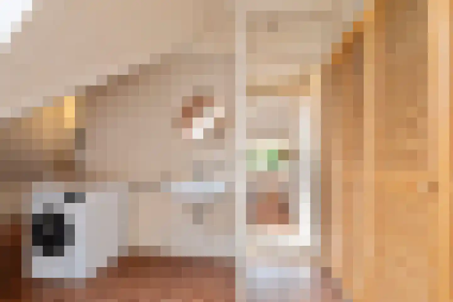 Wijnoldy Daniëlslaan 11 Santpoort-Zuid thumbnail 48