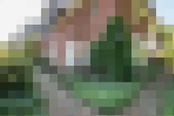 Wijnoldy Daniëlslaan 14 Santpoort-Zuid thumbnail 16