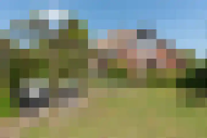 Wijnoldy Daniëlslaan 14 Santpoort-Zuid thumbnail 18