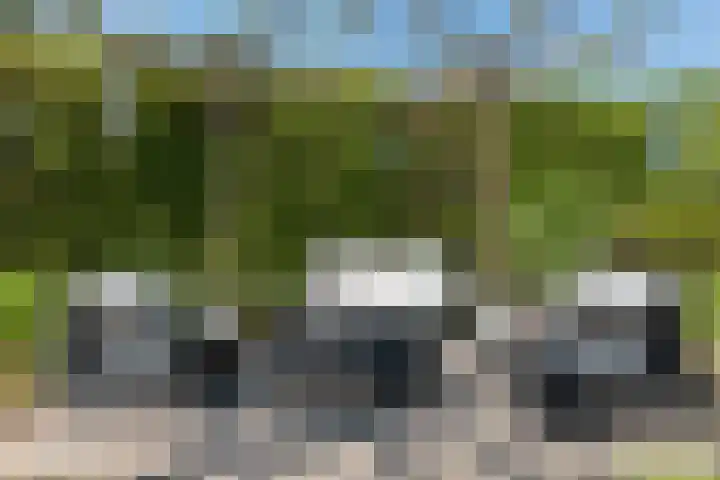 Wijnoldy Daniëlslaan 14 Santpoort-Zuid thumbnail 19